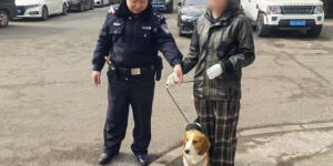 一边帮找狗，一边教养狗！南岗警方全力倡导“文明养犬”