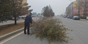 大树倒地拦路 民警紧急处置