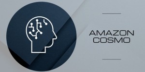 任小姐出海战略咨询｜抓住亚马逊Cosmo算法红利：精细化用户洞察与营销策略