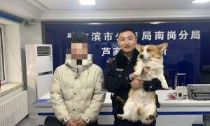 冰城警心护萌宠：三日连助三起“宠物回家记”彰显为民情怀
