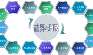 专注HR与IT深度融合，引领跨界新专业-访创世晟