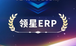 领星ERP荣获“灼耀之星”大奖，企业实力再获权威认可