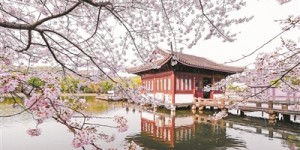杭州旅游已入春